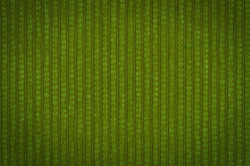 Green leather texture closeup, useful as background