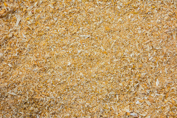 Top view humid saw dust.