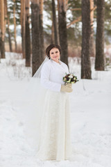 Fototapeta na wymiar Portrait of the bride in winter