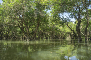 Lake in Cambodia