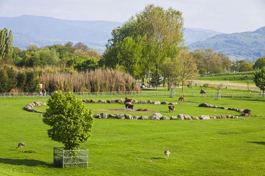 Mundenhof, the outdoor zoological garden in Freiburg im Breisgau