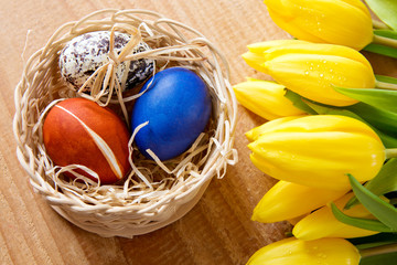 Easter basket with colored eggs and yellow tulips.