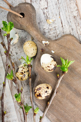 Quail eggs, green branches and vintage wooden cutting board