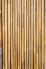 bamboo fence
