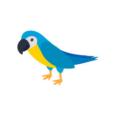 Blye brazil parrot icon, isometric 3d style 