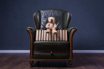 Teddy bear and books in green leather armchair in front of the wall