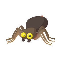 Halloween spider icon, cartoon style 