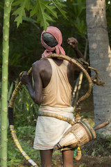 Old climber on coconut tree