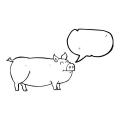 speech bubble cartoon muddy pig