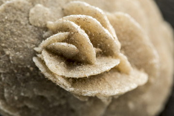 Dettaglio di pietra denominata rosa del deserto