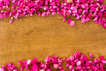 small flower pink on wood
