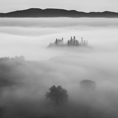 B/W Landscape with Fog