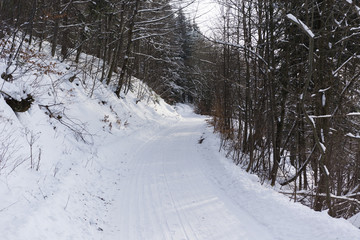 Obraz premium snowy forest road in the mountains