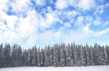 Snowy trees against a deep blue sky in Finland. A real winter wonderland. The trees are covered with snow during a sunny winter day. Some clouds are in the sky. Image has a vintage effect applied.