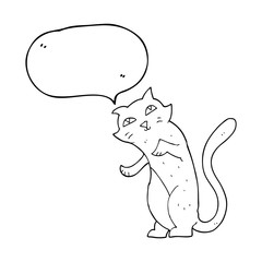 speech bubble cartoon cat