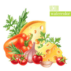 Watercolor illustration with cheeses, vegetables and herbs