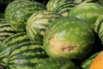 counter with watermelons