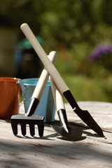 Fototapeta na wymiar garden tools