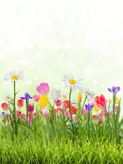 Lovely spring background