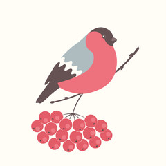 Bullfinch is sitting on the mountain ash brunch. Vector background.