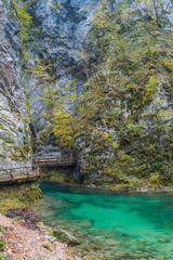 Autumnal emerald waters of Radovna river flow inside the Vintgar gorge near Bled, Slovenia.
