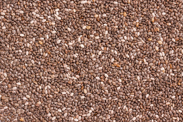 seed