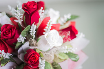 bouquet of roses on white background