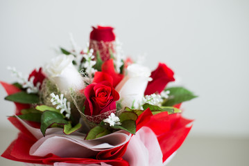 bouquet of roses on white background