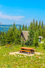A picnic table in Manning Park, British Columbia, Canada. © karamysh
