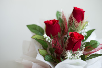 bouquet of roses on white background