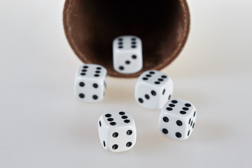 Five dices and a dice cup