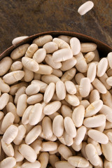 healthy dried cannelini beans