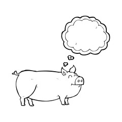thought bubble cartoon muddy pig