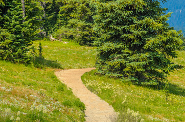 Fototapeta na wymiar Beautiful Mountain Trail. Blackwall Peak Trail at Manning Park in British Columbia. Canada.