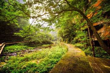 Scenic view of mossy stone walkway along river with clear water