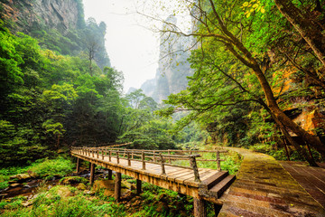 Scenic view of wooden bridge over river at bottom of deep gorge