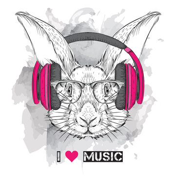 The image of the rabbit in the glasses and headphones. Vector illustration.