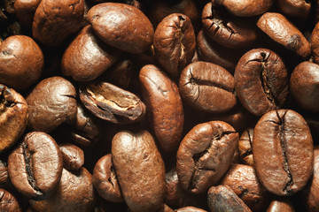 Coffee beans close-up