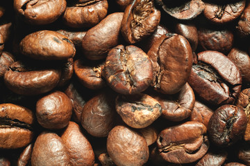 Coffee beans close-up