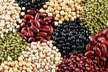  Five color lentile for background