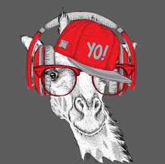 The image of the giraffe in the glasses, headphones and in hip-hop hat. Vector illustration. - 103651366