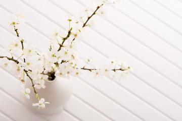 Top view on vase with cherry blossom