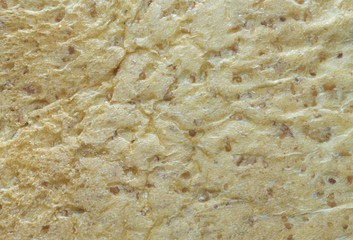 wholewheat bread textures details