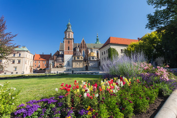 Cracow Castle