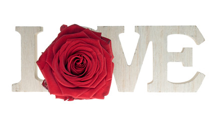 Love / Wooden letters with the word love and a rose isolated over a white background
