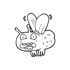 black and white cartoon fly