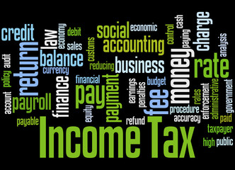 Income Tax, word cloud concept 7