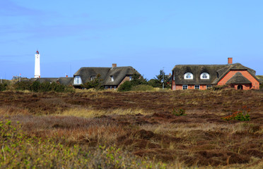 Danimarca del sud,case tra le dune e faro.