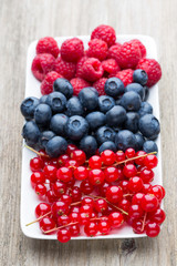 Fresh blueberries and red currant.