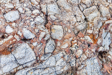 Colorful texture of sea stone texture